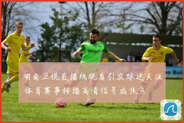 湖南卫视直播线观看引发球迷关注 体育赛事转播高清信号成焦点