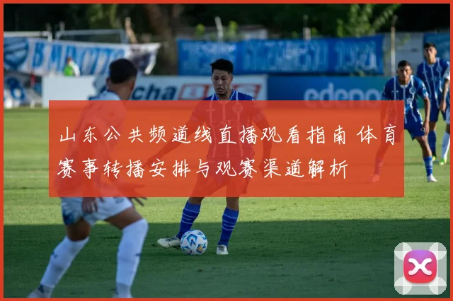 山东公共频道线直播观看指南 体育赛事转播安排与观赛渠道解析