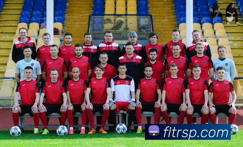 世界杯开户平台平台生态图