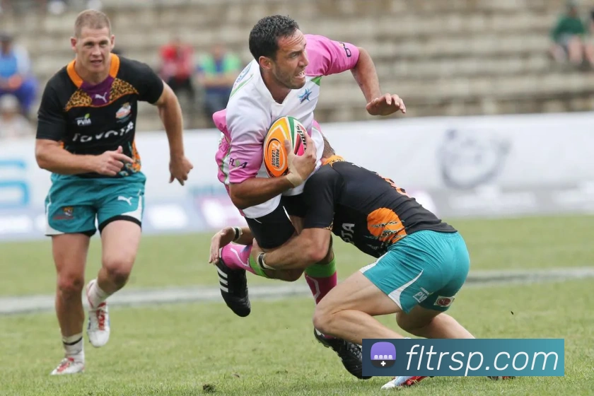 世界杯开户平台APP 封面图